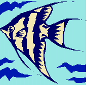 fish picture