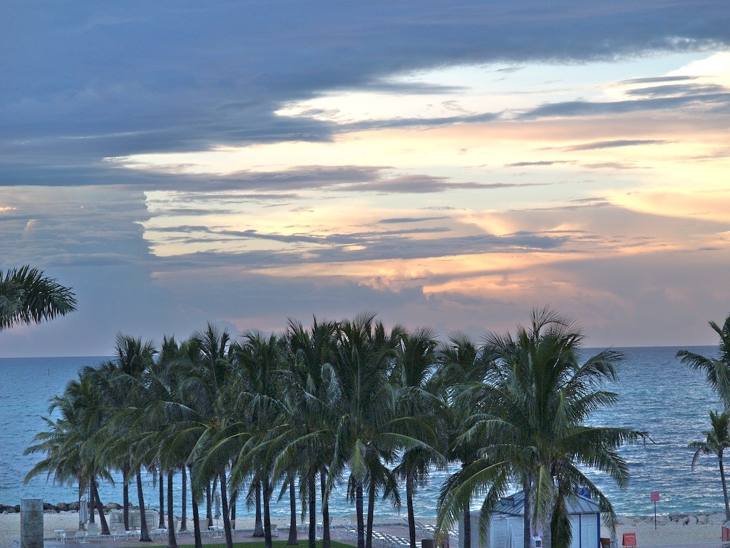 Thumbnail image for beach-palm-trees.jpg
