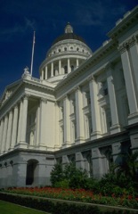 legal building