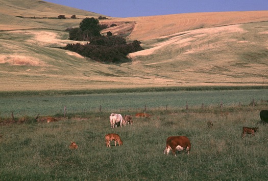 Hills in North Dakota