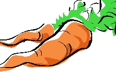carrots